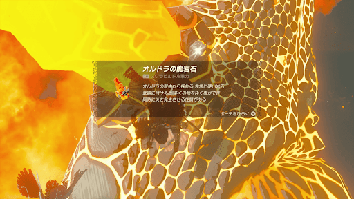 オルドラの背中にある角付近で採取