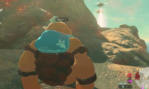 BotW_偵察機を回避しながら進む