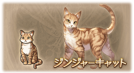 ジンジャーキャット・猫