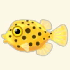 イエローボックスフィッシュ