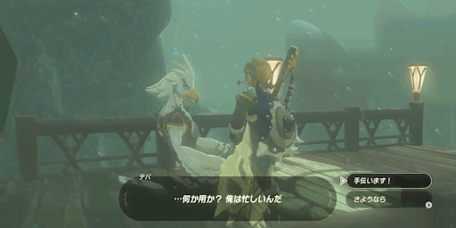 BotW_飛行訓練場