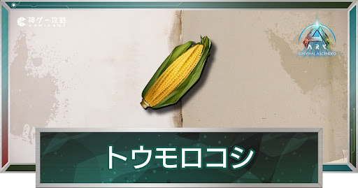 トウモロコシ