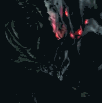 深淵の主マヌス