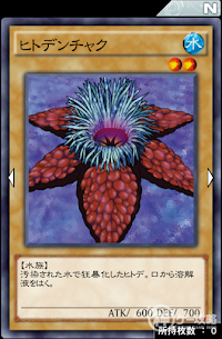 ヒトデンチャク