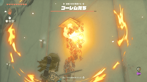 壁の草を燃やして雷龍の頭を入手する