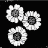 ワイルドフィーバーヒュー