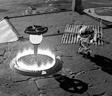 キンシャケ探し