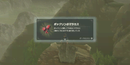 BotW_ボコブリンを倒す