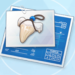 サメの歯のお守り