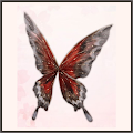 偽りの蝶翼