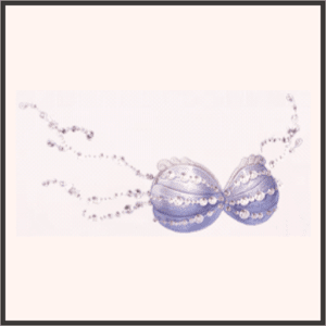 シェル★アリエル