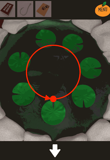 kotatsu_庭_池の睡蓮の葉の切れ込みを確認