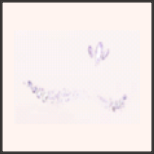 音楽フェスティバル