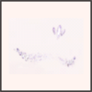 音楽フェスティバル