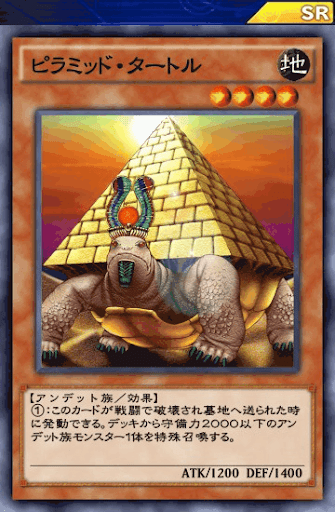 ピラミッド・タートル