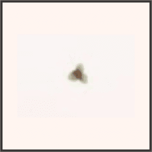 クリスマスの願い