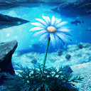 ムーン・マーガレット