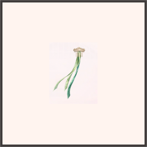 ヘアアクセ★戴冠式・アナ