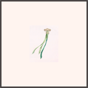 ヘアアクセ★戴冠式・アナ