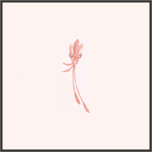 ウェイストの頭飾り