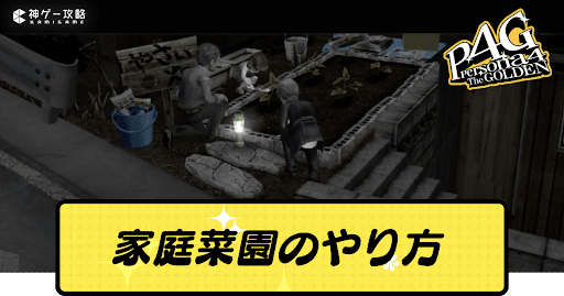 家庭菜園のやり方