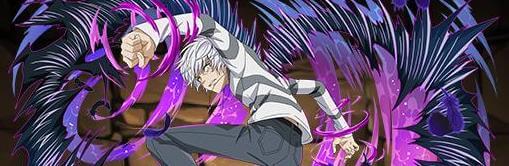 黒い翼・アクセラレータ