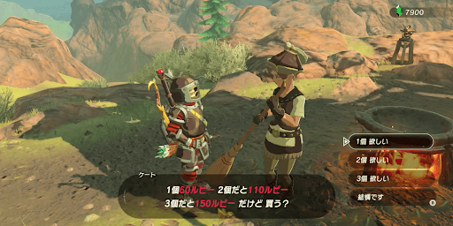 ゼルダBotW_燃えず薬を用意する
