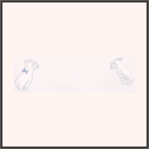 太陽のリボン手袋