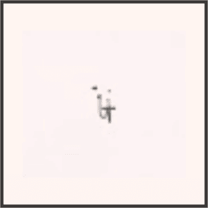 ミステリーシャドー