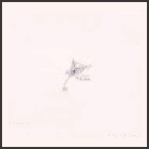 運命の翼（紫）