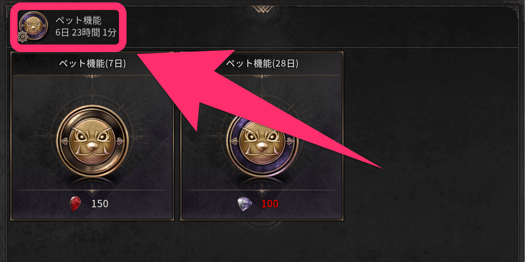 ダークディセンバー_ペット機能は時間制限がある