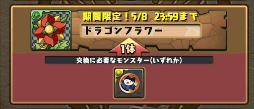 ドラゴンフルーツ