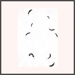 ブラックスワンの羽