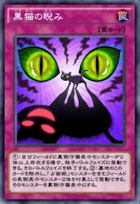 黒猫の睨み