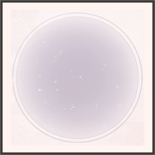 花吹雪★シンデレラ