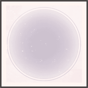 花吹雪★シンデレラ