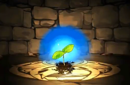 アジサイの星萌芽