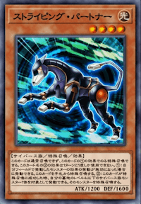 ストライピング・パートナー