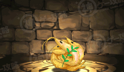 富山湾の宝石・シロエビ