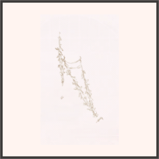 珠のような飛沫