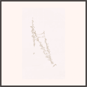 珠のような飛沫