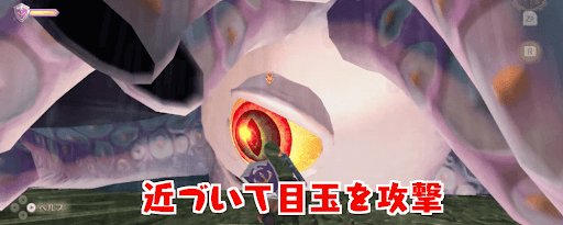 ゼルダSWS_目を剣で攻撃