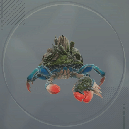 シェルハーミット