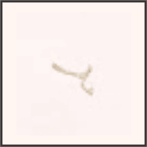 スイセンのネックレス