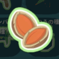 オレンジベリーの種