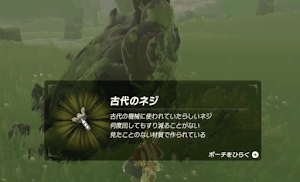 ゼルダBotW＿古代のネジ