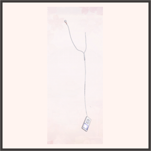 ポータブルミュージック