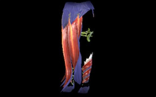 エーデルSライース