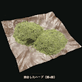 調合したハーブ(緑+緑)