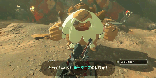 BotW_組長に話しかける